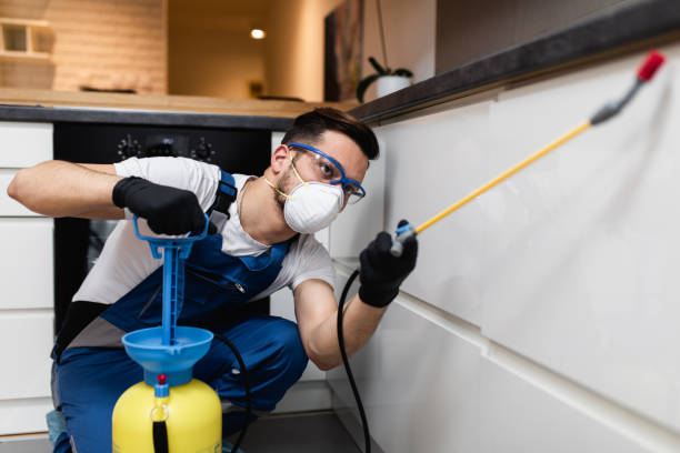 Best Termite Control Services  in Sheffield, OH