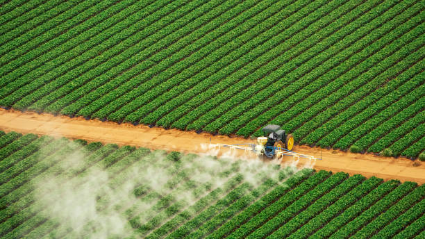 Best Mosquito Control Services  in Sheffield, OH