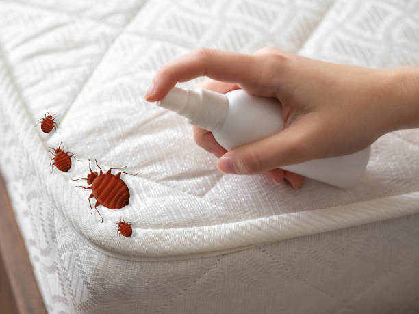 Best Pest Inspection Near Me  in Sheffield, OH