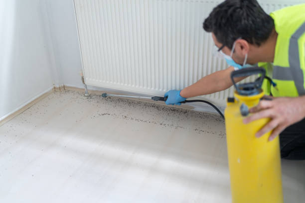 Professional Pest Control in Sheffield, OH